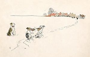 Old Lady Lost Shoe 1899