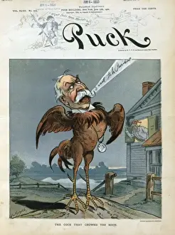 Crowed Prints: The cock that crowed too soon