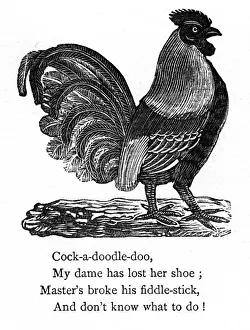 Cockerel Prints: Cock-Doodle-Do