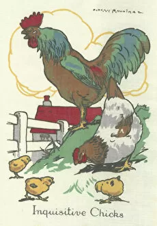 Images Dated 2nd February 2021: Cock and Hen