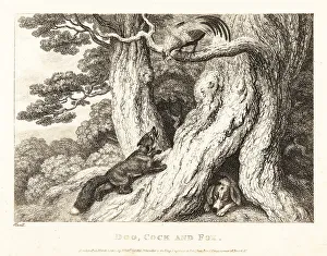 Gay And Phaedrus Prints: A cock in a tree outwits a fox, while a dog sleeps
