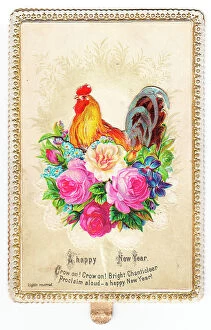 Images Dated 14th June 2018: Cockerel with assorted flowers on a New Year card