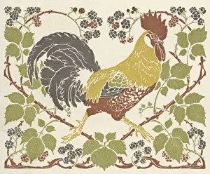 Cockerel in blackberry brambles