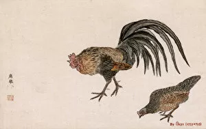 Images Dated 31st May 2018: Cockerel and Hen by Maruyama Okyo