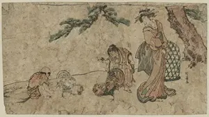 Cockfight under a pine tree
