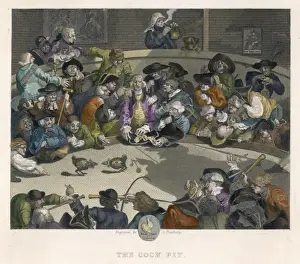 Watching Prints: Cockfighting / Hogarth / Col