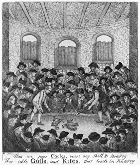 Cockfighting (John Kay) Cockfighting (John Kay)