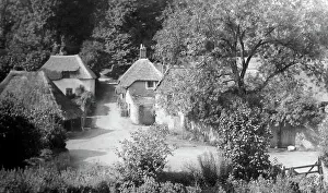Cockington Prints: Cockington