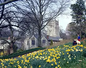 Daffodils Prints: Cockington Church, near Torquay, Devon