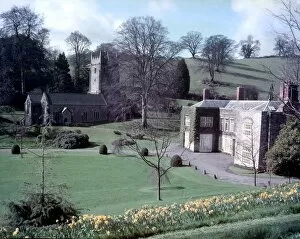 Daffodils Gallery: Cockington Court and church, near Torquay, Devon
