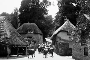 Cockington Forge