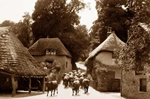 Cockington Forge