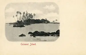 Kane Prints: Coconut Island (Moku o Loʻe), Hawaii, USA