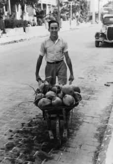 Coconuts, Key West, Florida