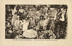 Images Dated 12th February 2019: Cocoonery - Silk Manufacture - Syria