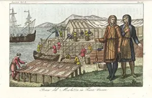 Cod fishery in the New World