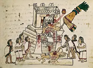 Aztec Prints: Codex Magliabecchi