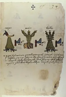 Codex Osuna, 16th C Spanish viceroyship in Mexico