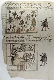 Codex Osuna (Ce Osuna). 16th c. Manuscrit