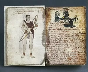 Viceroyalty Collection: Codex Tudela. 1530-1554. Codex with pictures