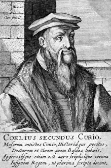 Coelius Secundus Curio