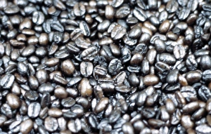 Coffea arabica, coffee