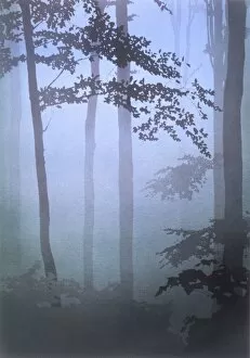 Airbrush Gallery: Cold pale light through the trees