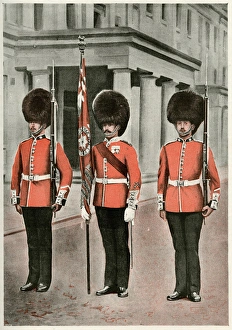 Images Dated 16th October 2015: Coldstream guards