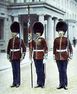 Tommies Collection: Coldstream Guards Victorian period