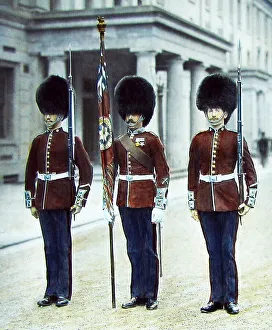 Coldstream Prints: Coldstream Guards Victorian period