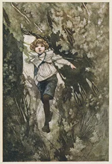 Secret Gallery: COLIN IN SECRET GARDEN