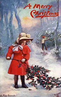 Collecting holly