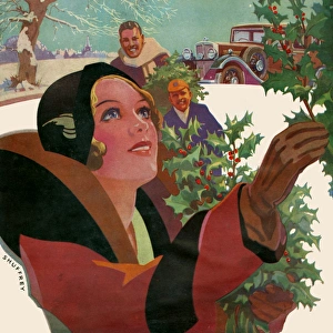Greenery Gallery: Collecting holly for Christmas Decorations