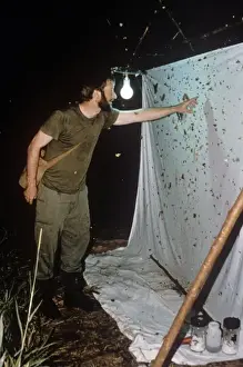 Brunei Prints: Collecting moths at light