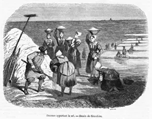 Collecting Salt, France