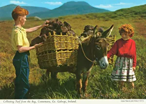 Images Dated 8th May 2019: Collecting Turf from the Bog, Connemara, County Galway