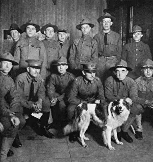 Ancestry Gallery: A collie of royal ancestry became the mascot of American sol