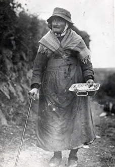 Colliers widow, Hook, Pembrokeshire, South Wales