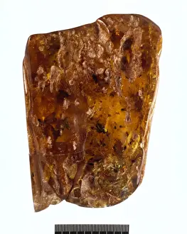 Colombian Prints: Colombian copal