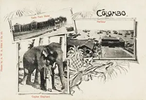 Colombo - Sri Lanka