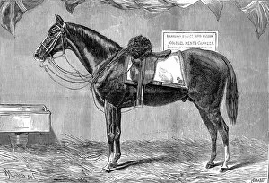 Images Dated 5th October 2004: Colonel Kents Horse, 1875