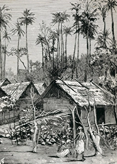 Colonial Africa (1883). Gulf of Guinea. Fernando