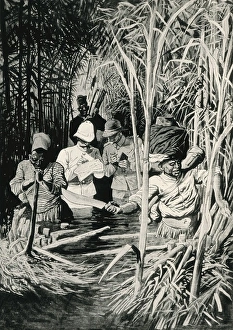 Congo Gallery: Colonial Africa. Delimitation of the new Franco-German