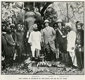 Tigers Prints: COLONIALISM / LORD CURZON