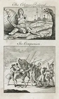 The colonies reduced - its companion