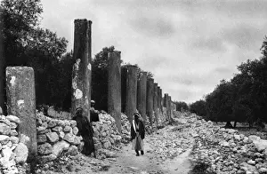 Colonnade Prints: Colonnade of Herod, Samaria, West Bank