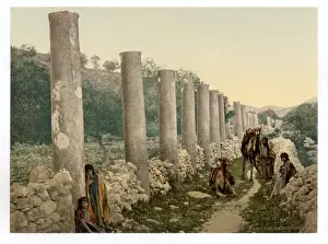 Samaria Prints: The colonnade, Samaria, Holy Land