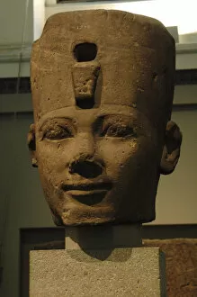 Images Dated 29th March 2008: Colossal head problably from Thutmose I. Egypt