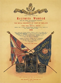 Colour photolithograph - British Military
