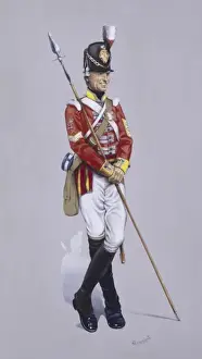Pike Prints: Colour Sergeant - 37th Regiment of Foot